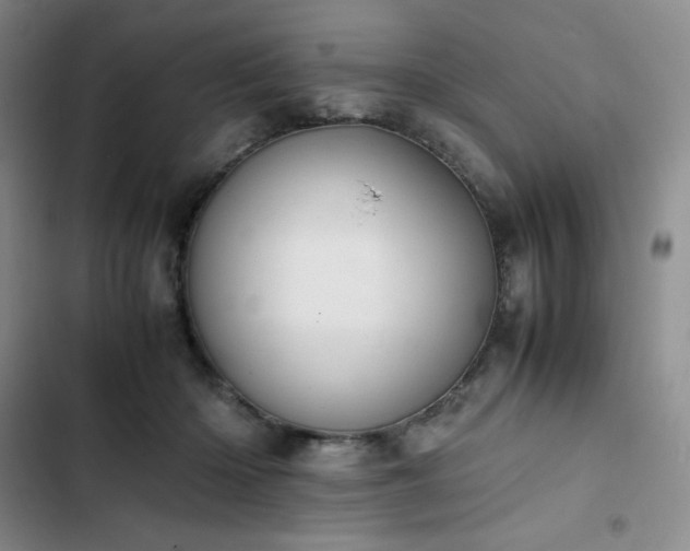 X0000102860414200808251231