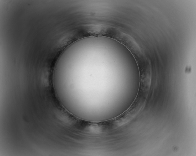 X0000102860416200808251231