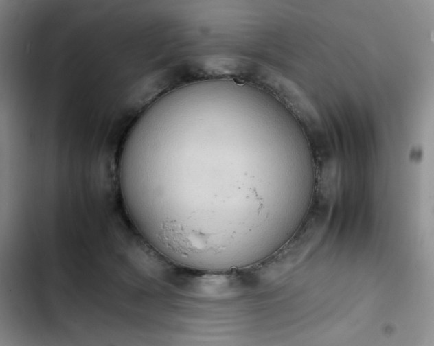 X0000102860418200808251231