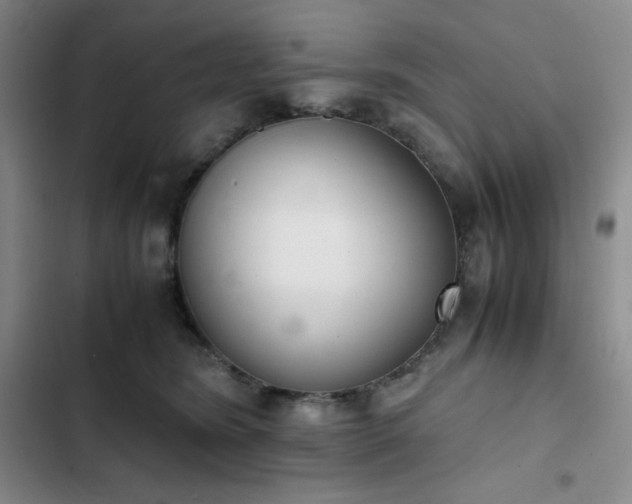 X0000102860420200808251231