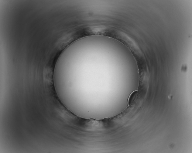 X0000102860421200808251231