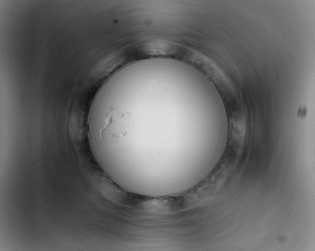 X0000102860422200808251231