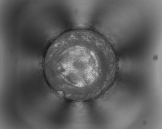 X0000102860423200808251231