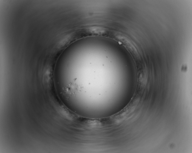 X0000102860424200808251231