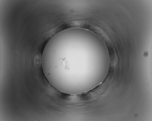 X0000102860425200808251231