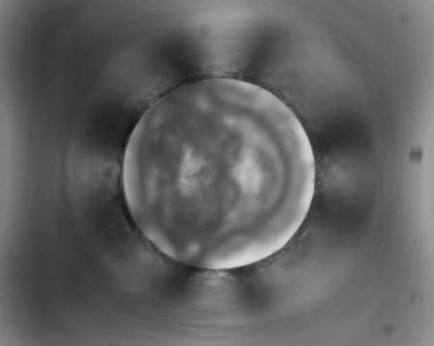 X0000102860427200808251230