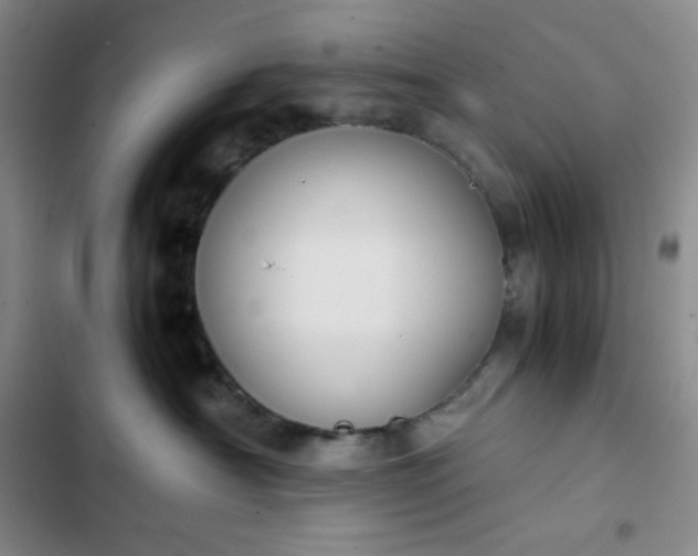 X0000102860430200808251230