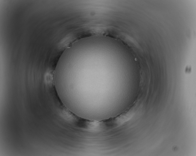 X0000102860432200808251230