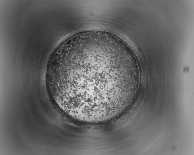 X0000102860434200808251230