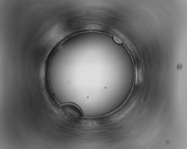 X0000102860435200808251230