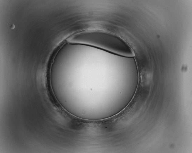 X0000102860436200808251230