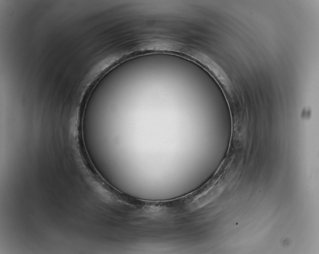 X0000102860437200808251230