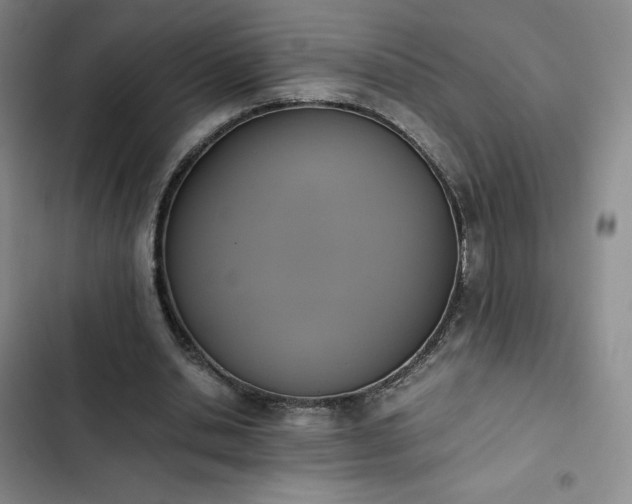 X0000102860438200808251230