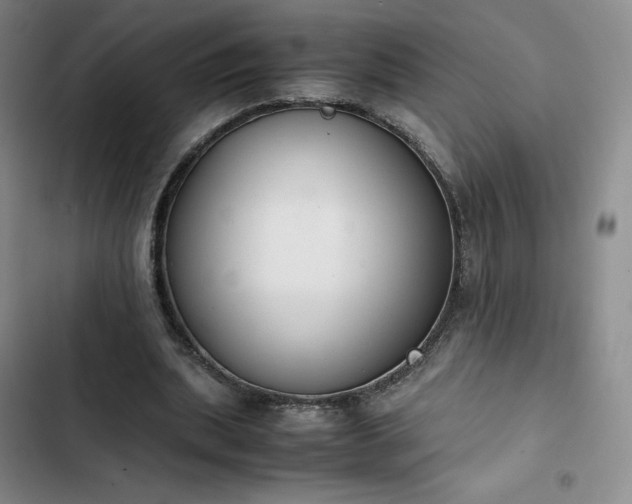 X0000102860439200808251230