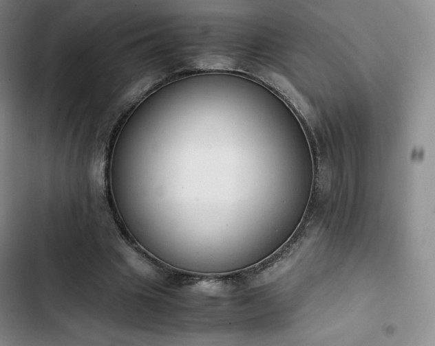 X0000102860441200808251230