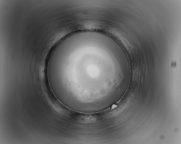 X0000102860443200808251230