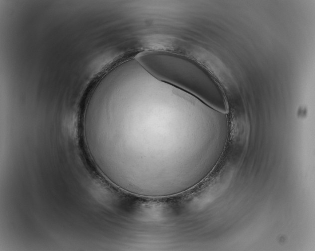 X0000102860444200808251230