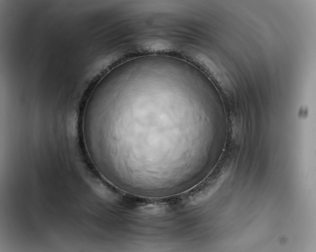 X0000102860447200808251230