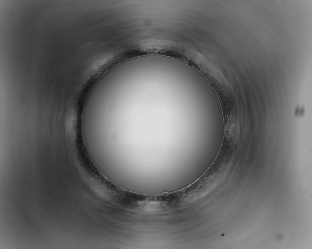 X0000102860448200808251230