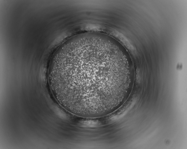 X0000102860449200808251230