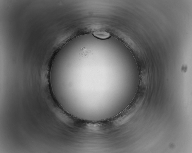 X0000102860450200808251230