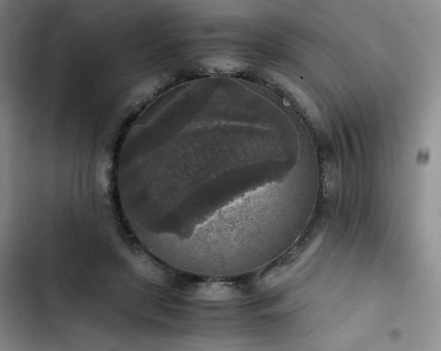 X0000102860451200808251230