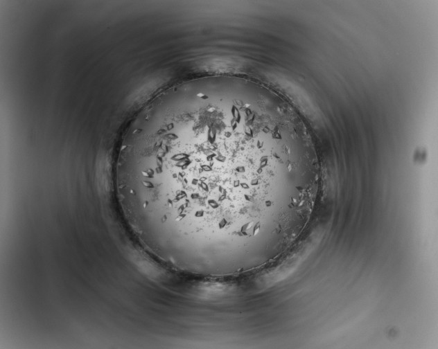 X0000102860453200808251230