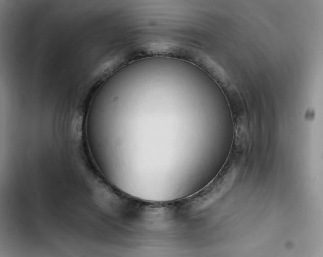 X0000102860454200808251230