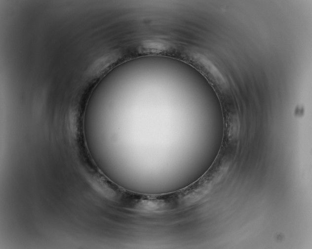 X0000102860455200808251230