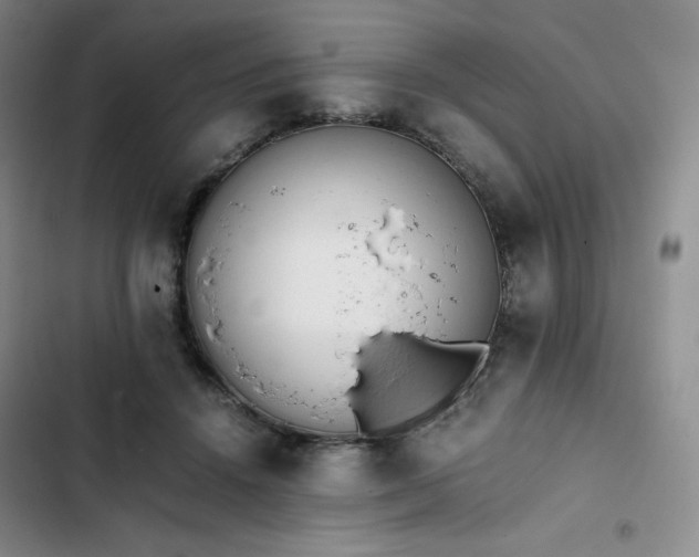 X0000102860456200808251230