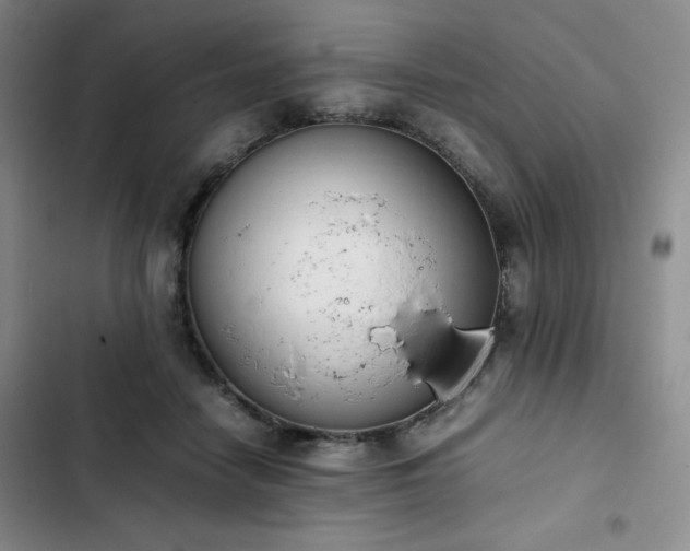 X0000102860458200808251230