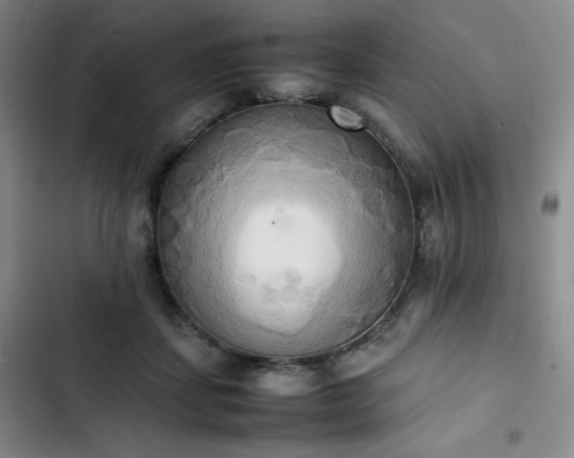 X0000102860459200808251230