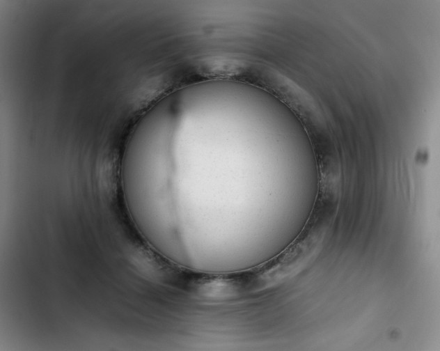 X0000102860460200808251230