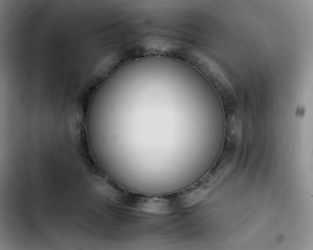 X0000102860463200808251230