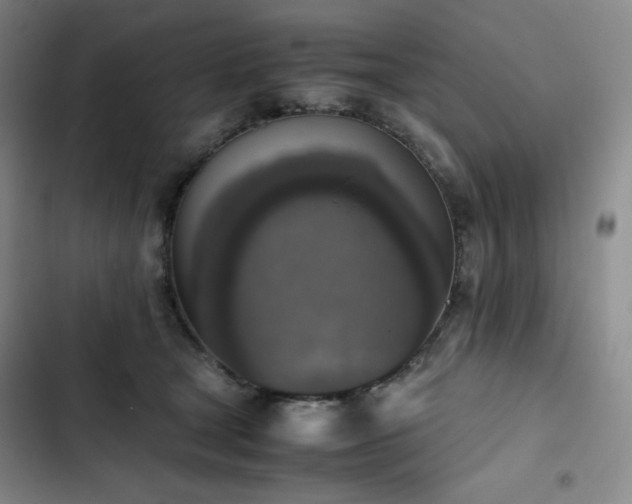 X0000102860465200808251230