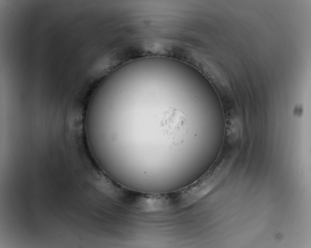 X0000102860466200808251230