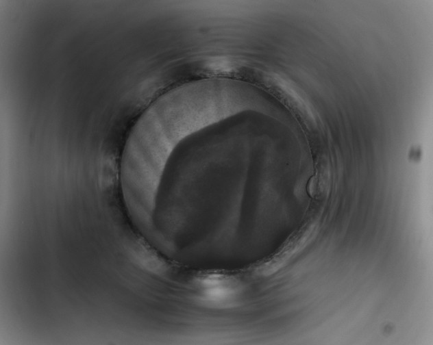 X0000102860467200808251230