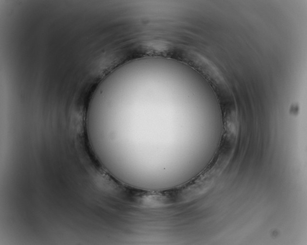 X0000102860468200808251230