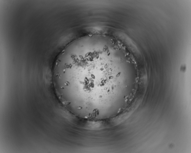 X0000102860469200808251230