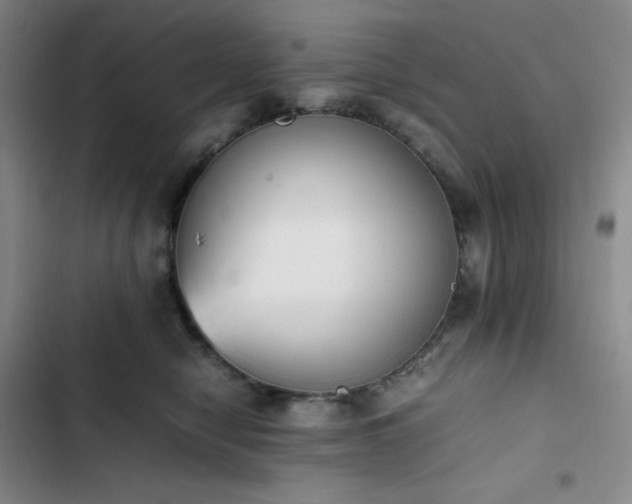 X0000102860470200808251230