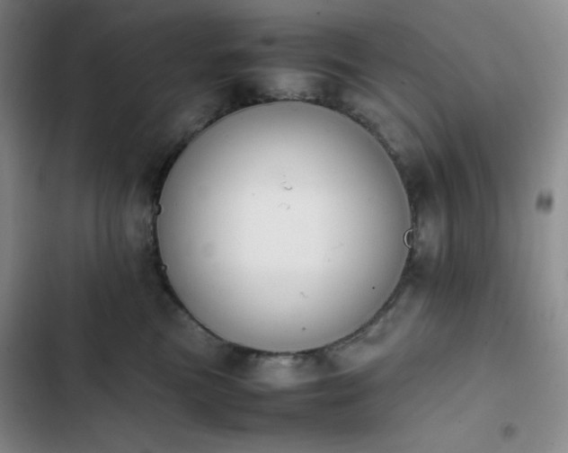 X0000102860473200808251230