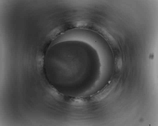 X0000102860475200808251230