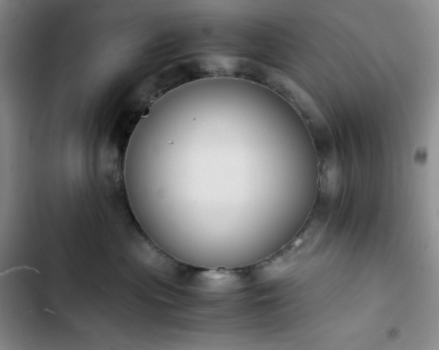 X0000102860477200808251230