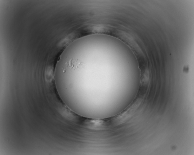 X0000102860478200808251230