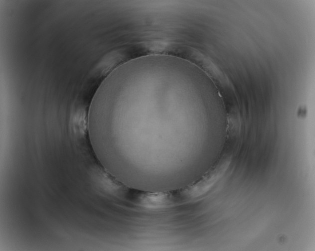 X0000102860479200808251230