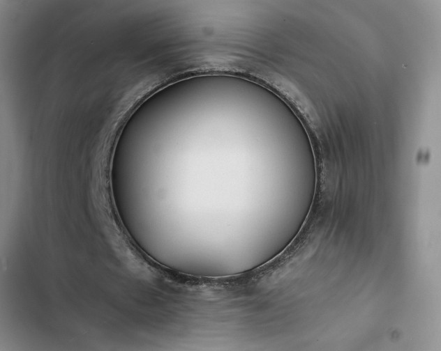 X0000102860481200808251230