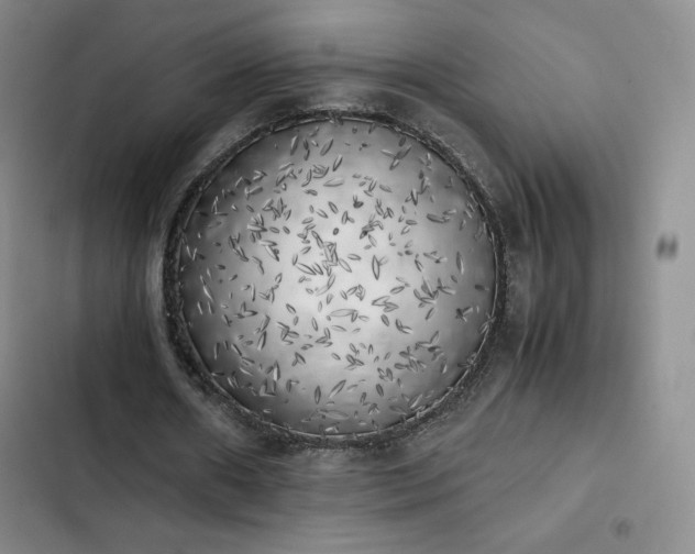X0000102860482200808251230