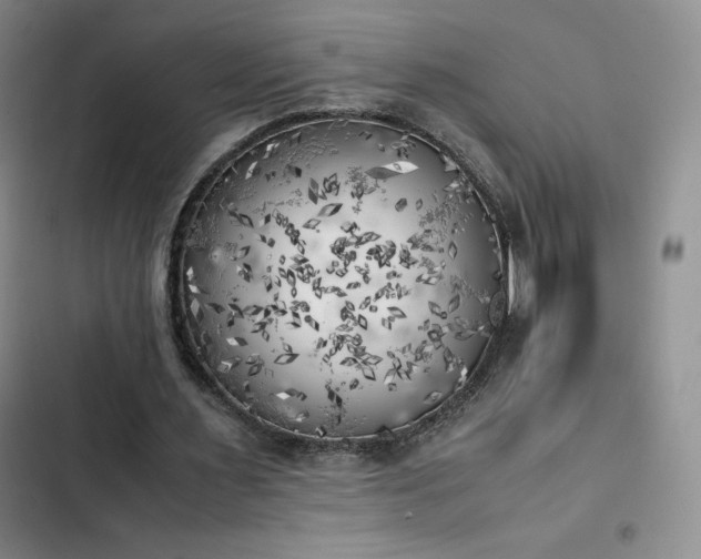 X0000102860483200808251229