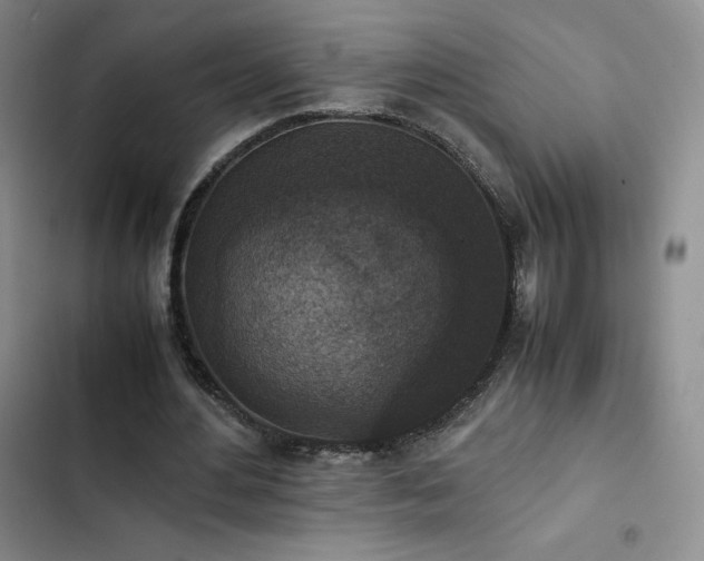 X0000102860484200808251229