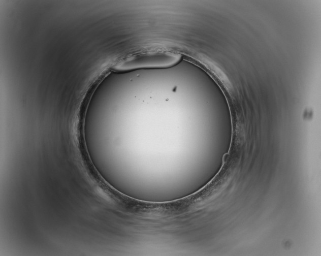 X0000102860485200808251229